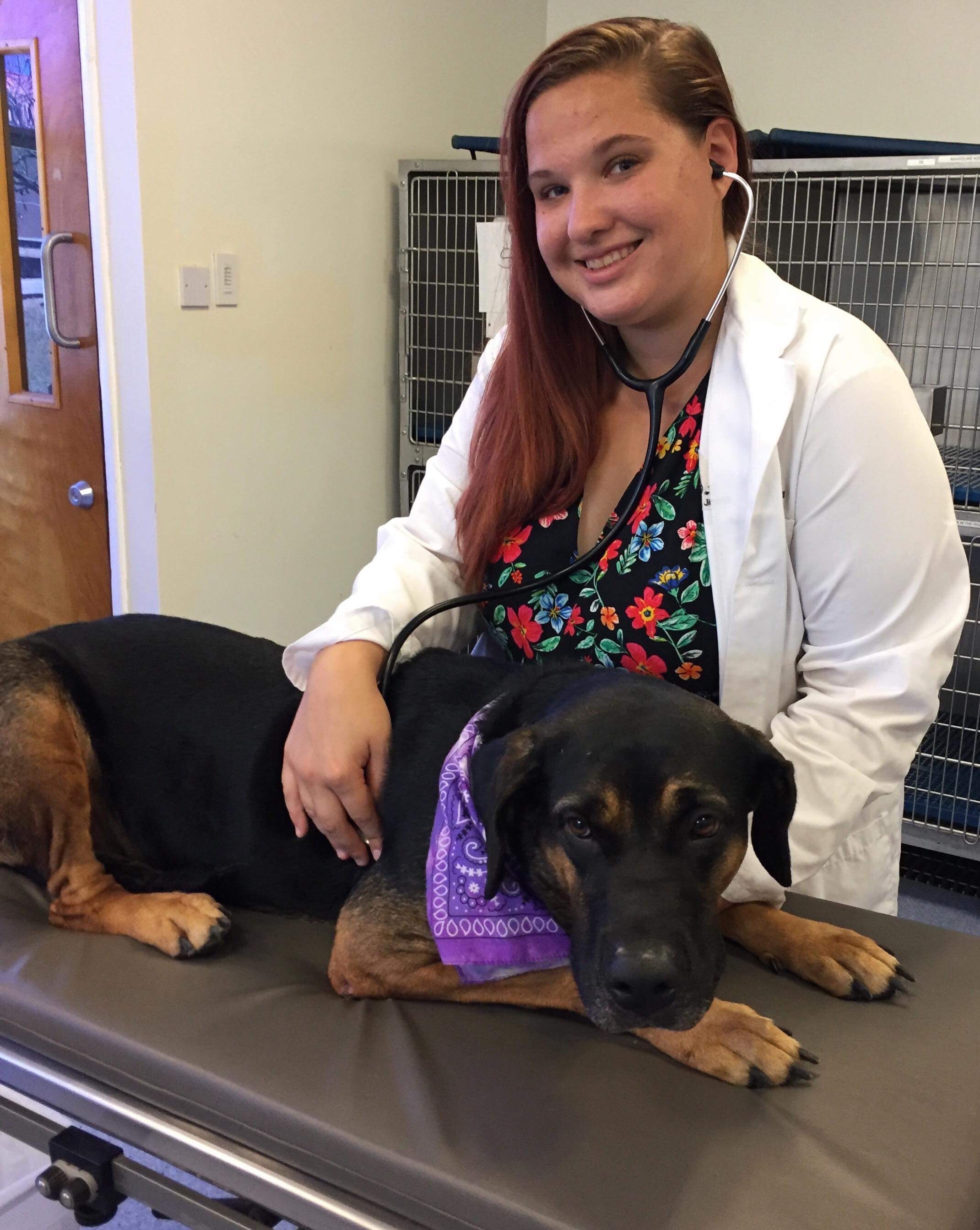 Dr. Amy Kalinauskas, HARP Senior Medical Director of Medical Services at Humane Animal Rescue Pittsburgh